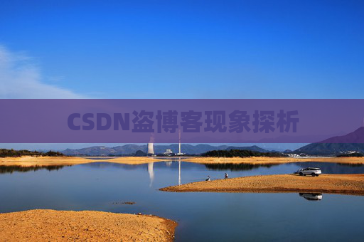 CSDN盗博客现象探析 CSDN盗博客现象探析